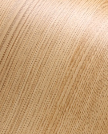 IT 310 - Castano Wood