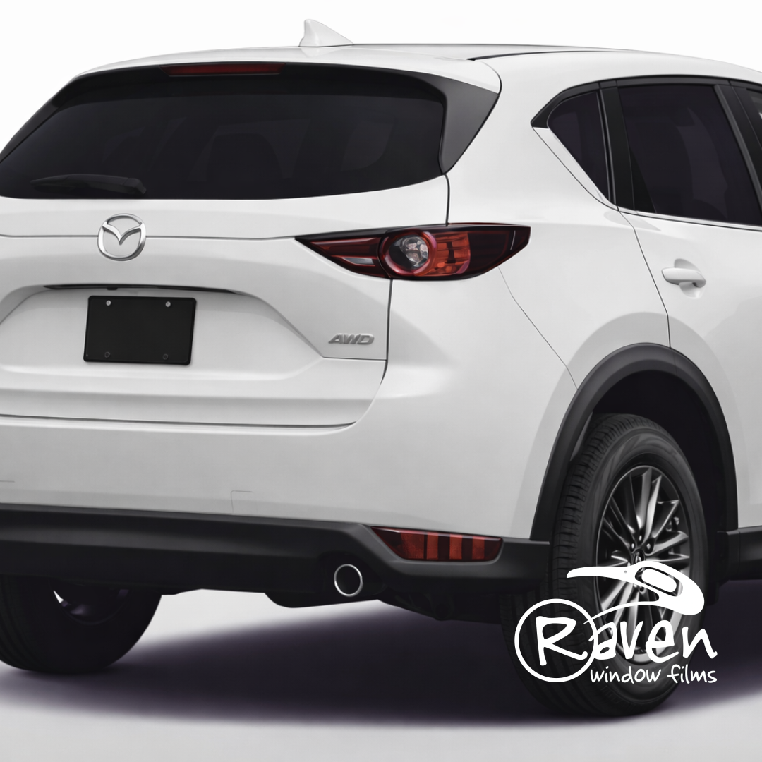 RavenHP NanoCarbon 20 