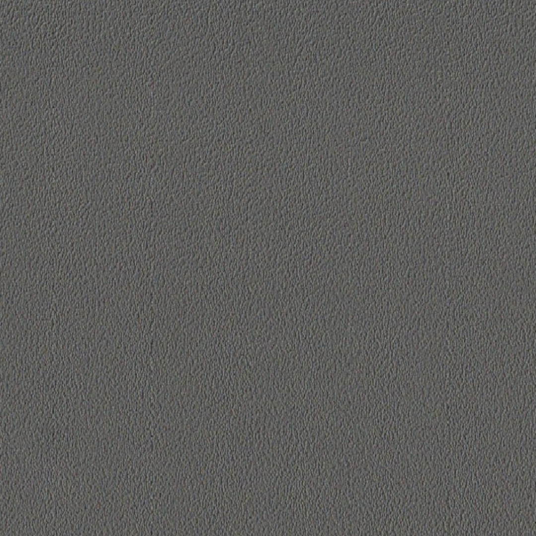 RS818