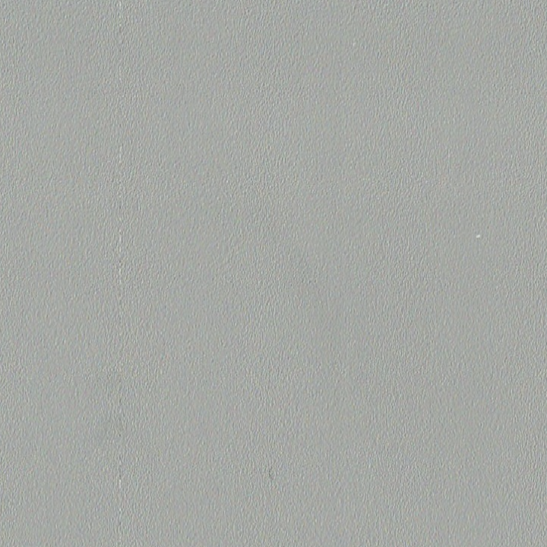 RS808