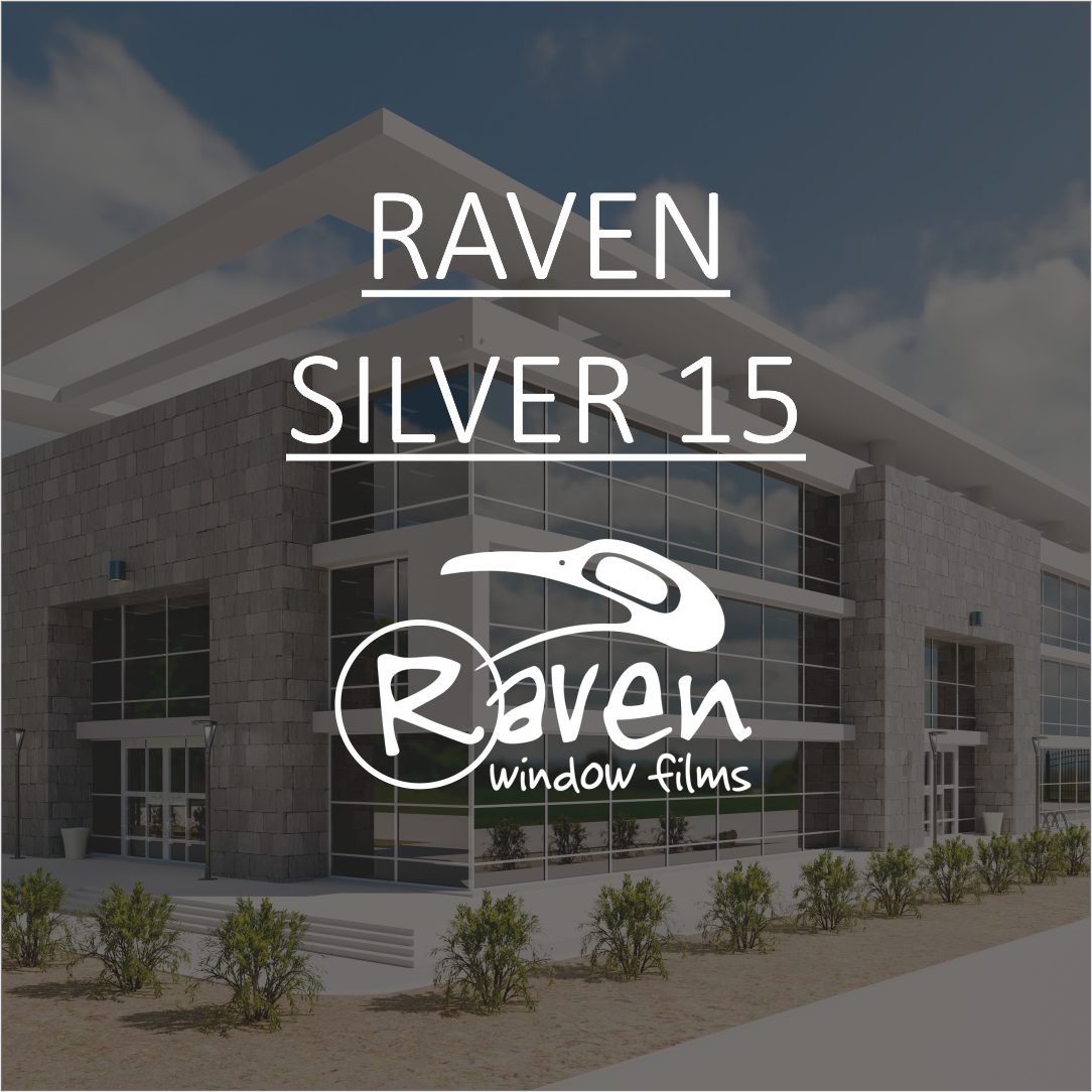 Raven Silver 15 Interior