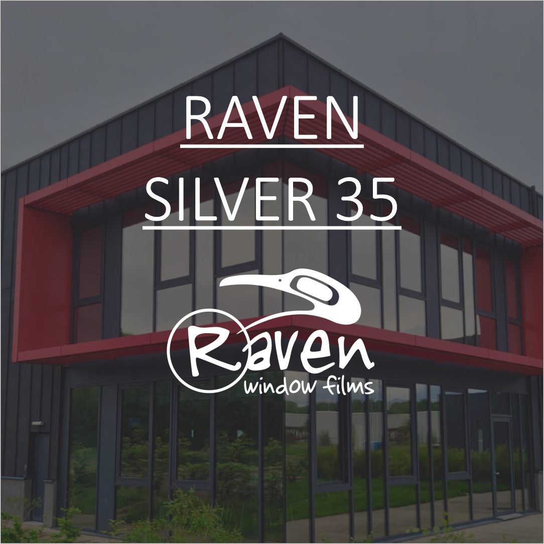 Raven Silver 35 Interior